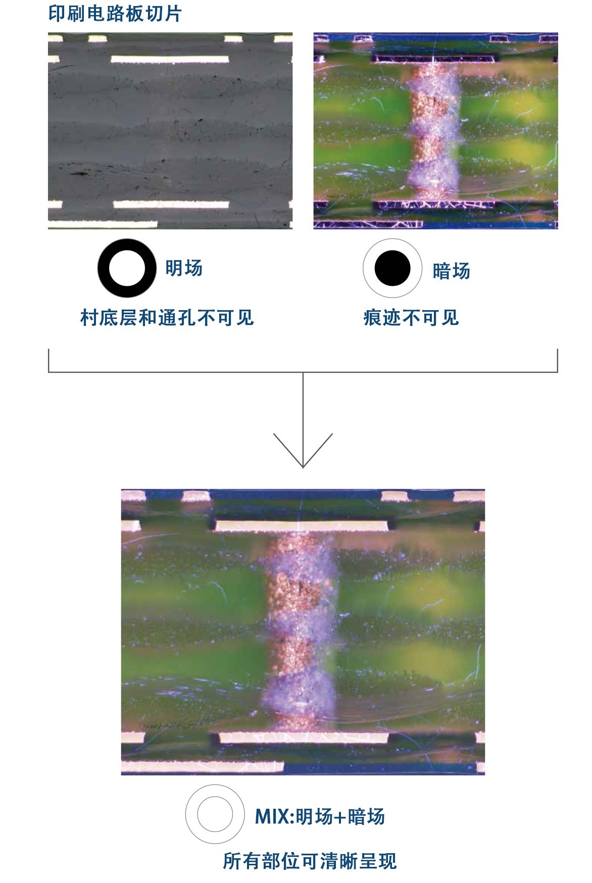 奧林巴斯顯微鏡